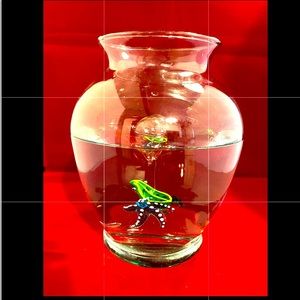 Floating Aquatic Animals